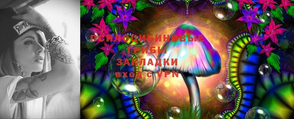 мяу мяу мука Снежинск