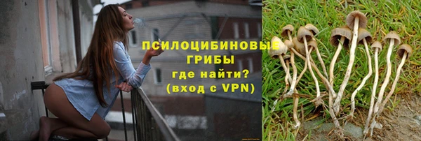 прущие крисы Богородицк